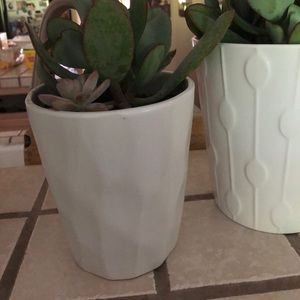 Meet your Posher, Penny